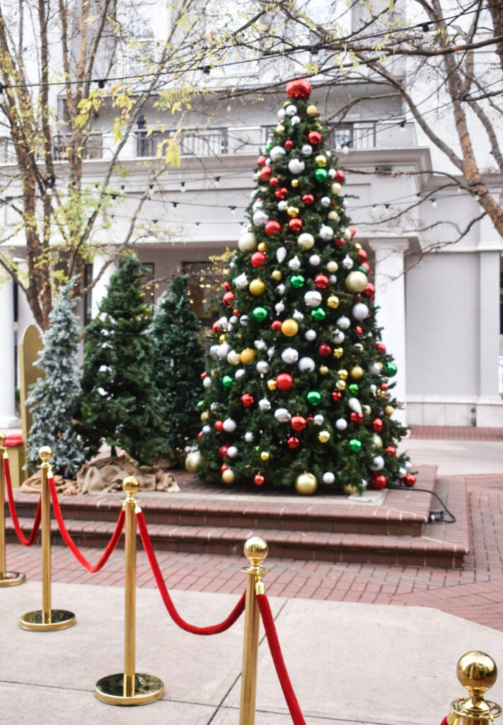 Christmas Trees with ropes and stanchions