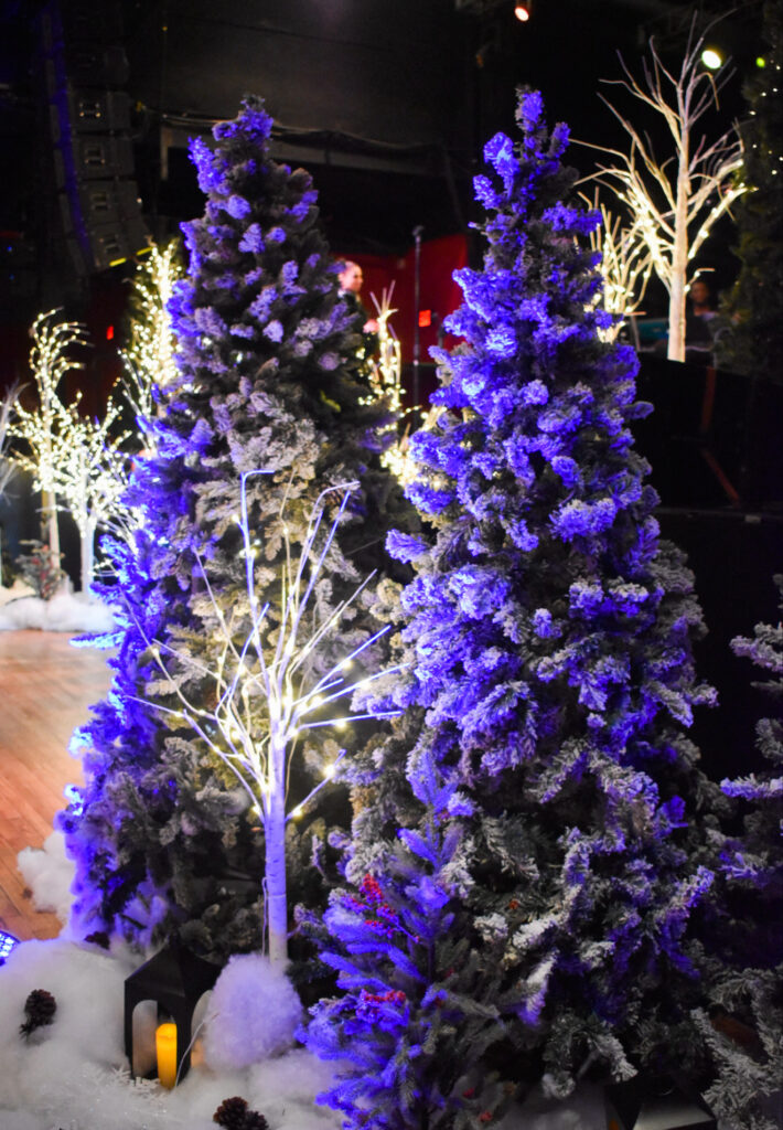 Winter Wonderland Christmas Set Up